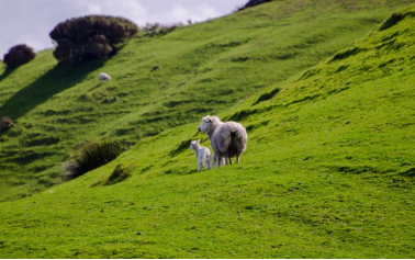 1762421477122952.png 图片.png