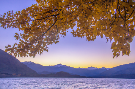 1763523314184578.png 图片.png