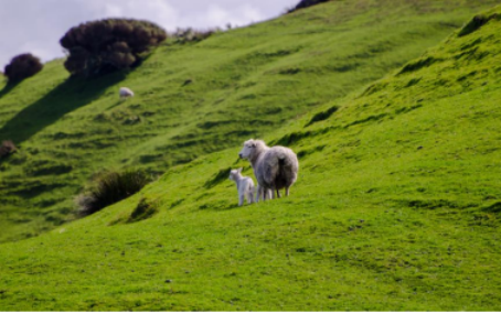 1763523598188221.png 图片.png