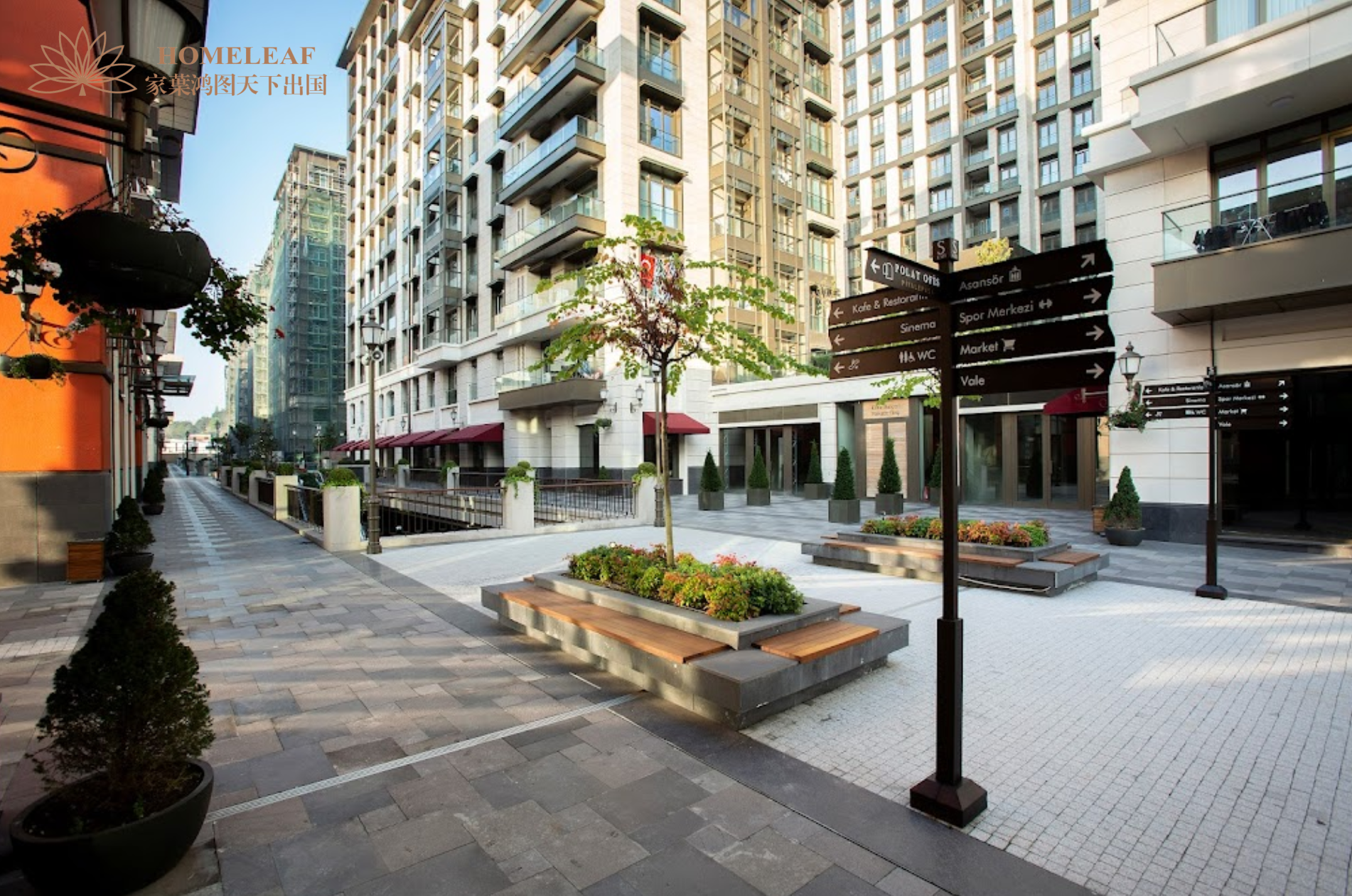 1769071264191365.png e62861bc-ee1d-498d-b4ad-0029b9929e6a.png