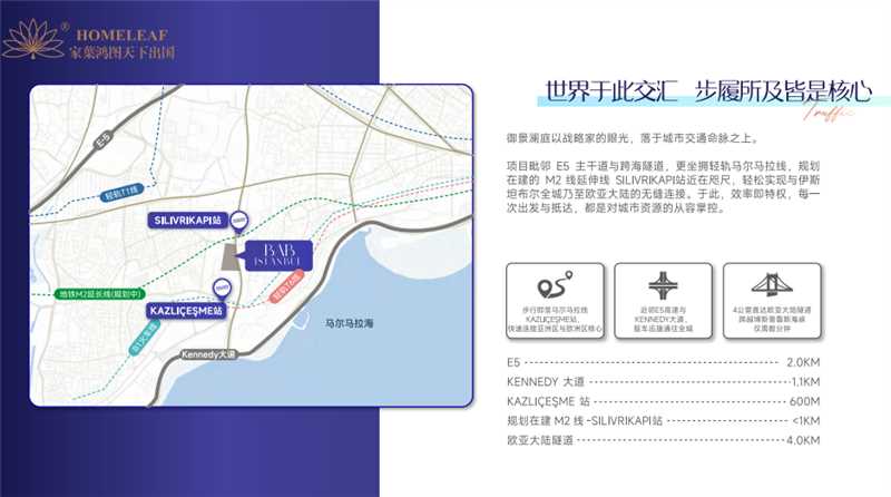 1769072539403899.jpg 3063f99d-409e-4b1c-91a1-c559ede87a2a.jpg