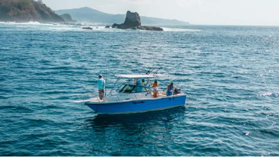 1771031578947783.png 图片.png